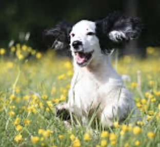 Screenshot 2026-02-23 at 15.20.01