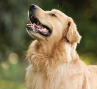 Screenshot 2026-02-23 at 15.20.51