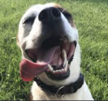 Screenshot 2026-02-23 at 15.18.30