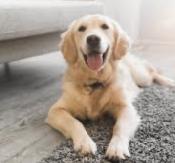 Screenshot 2026-02-23 at 15.18.43