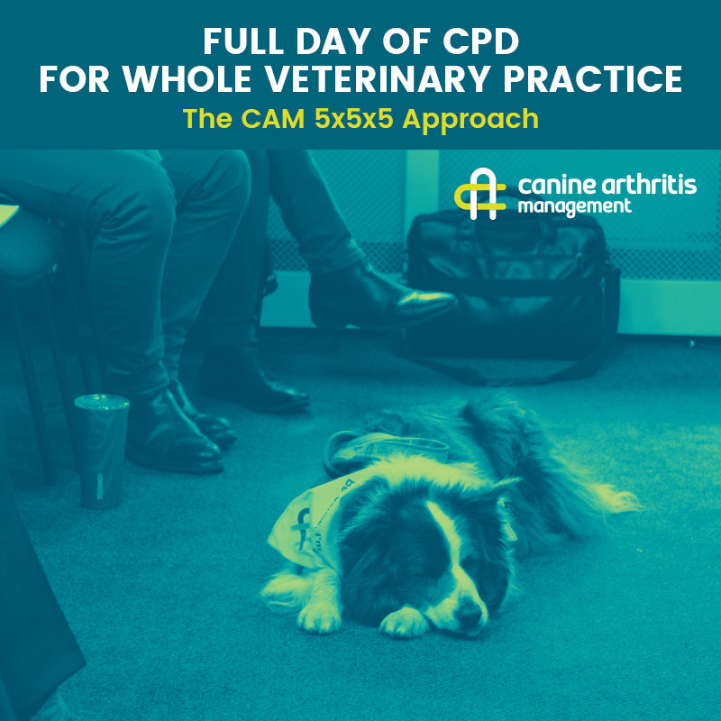 Cpd full day 5x5x5 approach