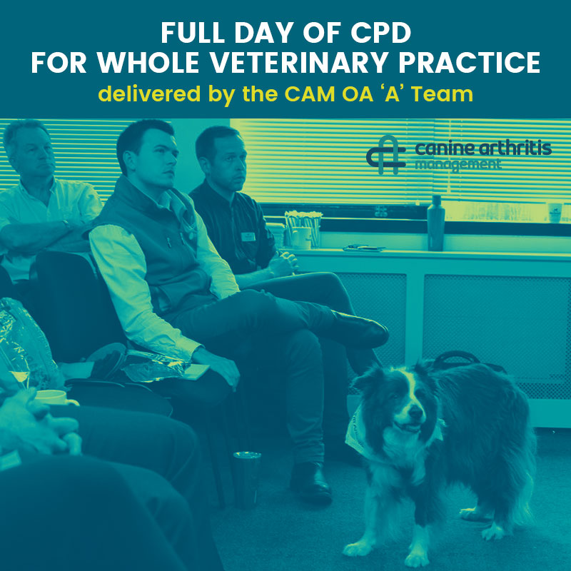 Cpd full day practice