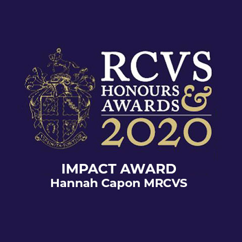 RCVS Impact Award 2020