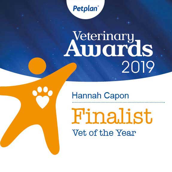 Petplan Veterinary Awards 2019