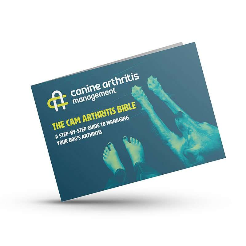 Cam arthritis bible