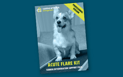 CAM Acute Flare Kit Professionals