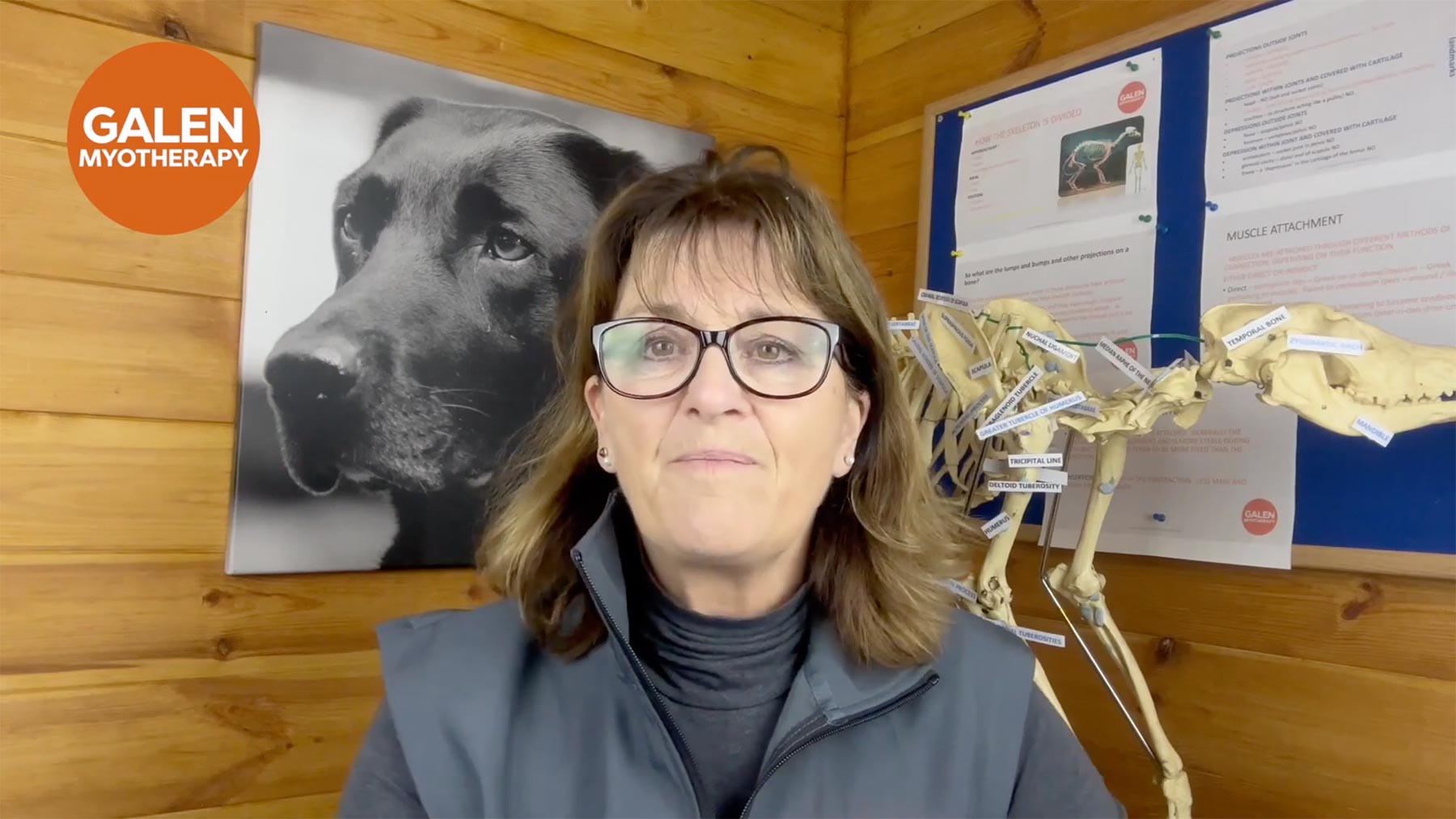 Galen Myotherapy Owner Course Canine Arthritis Management