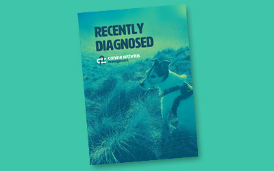 CAM Owners Recently Diagnosed Tool