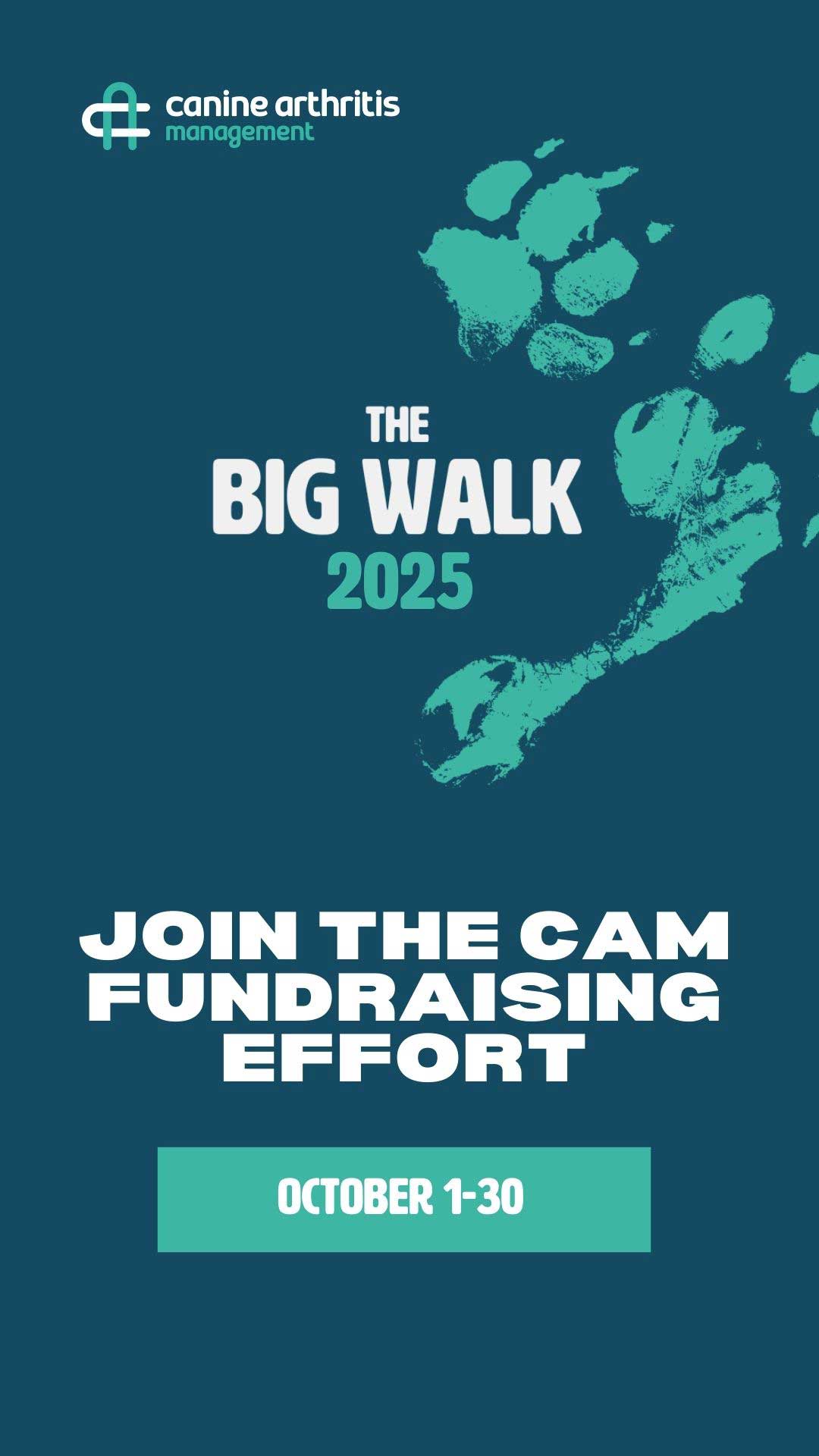 BIGWALK-2025