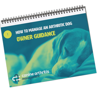 FLIPCHART-optimizado