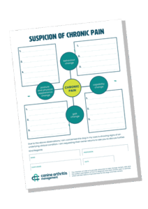 Suspicion-of-CP_thumbnail_Tools