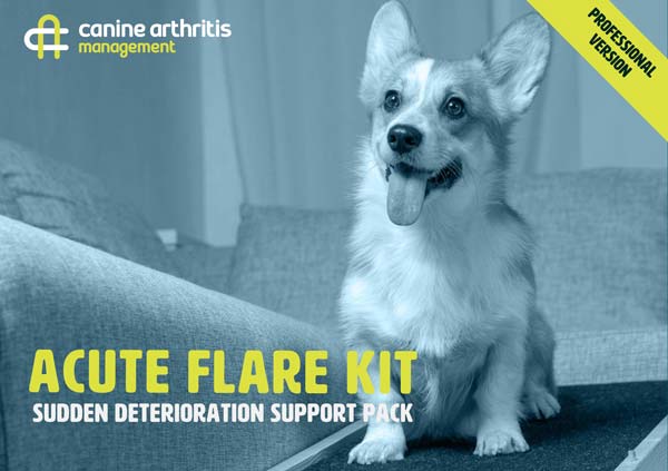 acutelfare-thumbnail