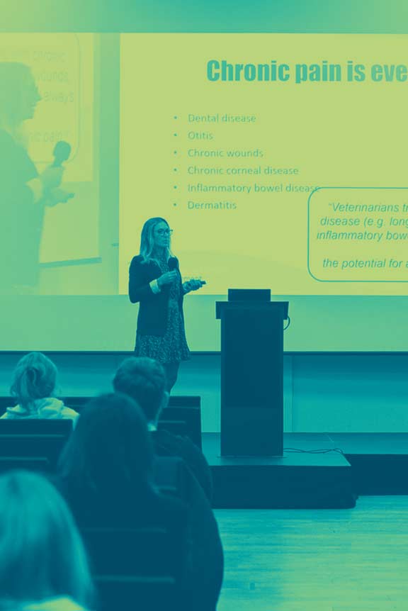 pexels-linafoxy_teal-yellow