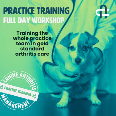 practice-training-square