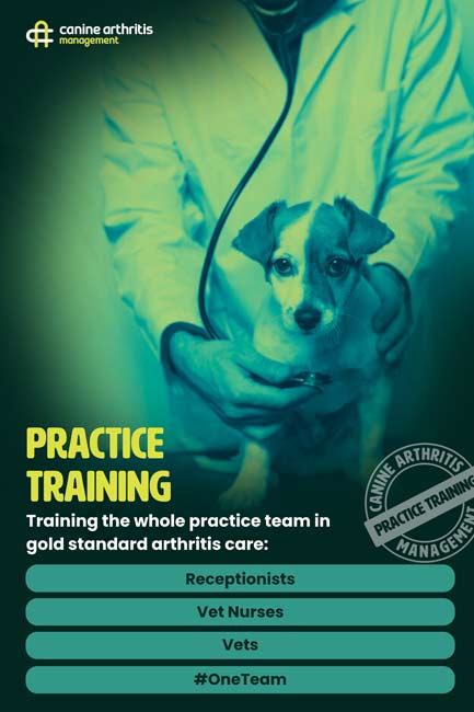 practice-training-web