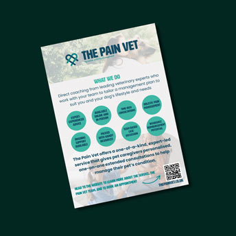 thePainvetPetguardians