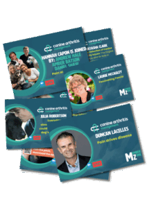 interview-with-experts