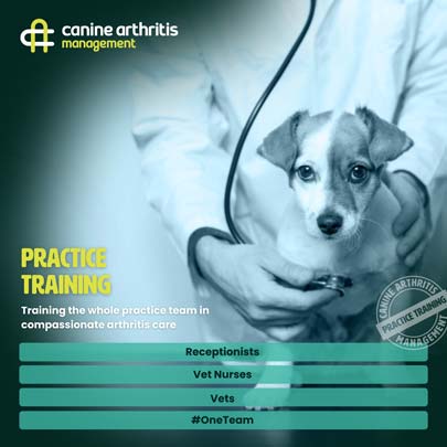 practice-training-promo-square