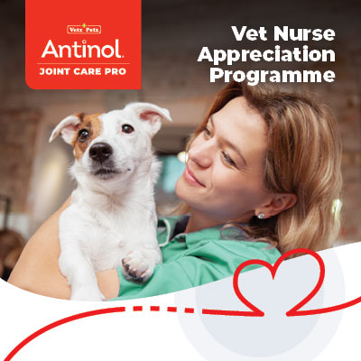 VP_UK_400x400_Tiles_Vet-Nurse