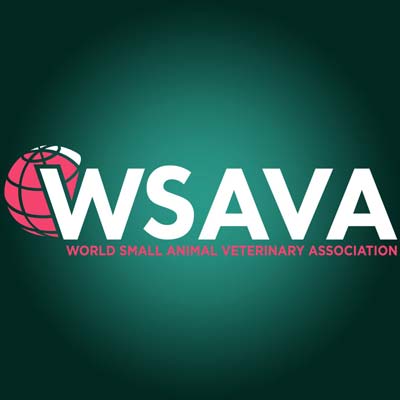 WSAVAlogo