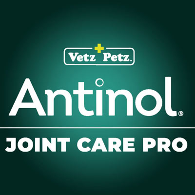 vetzpetzlogos