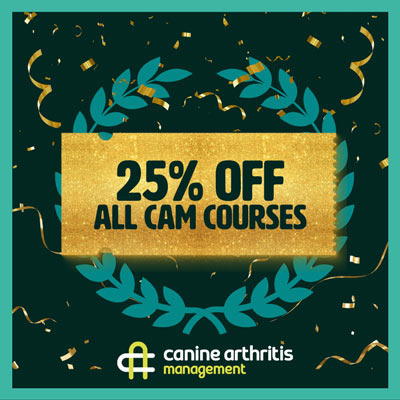 CAM-courses