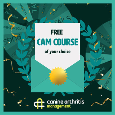 Spinthewheel