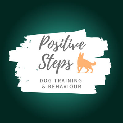positivesteps_logo