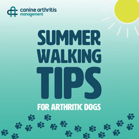 summertips01