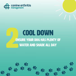 summertips03