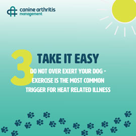 summertips04