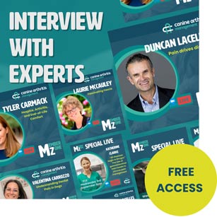 interviews experts