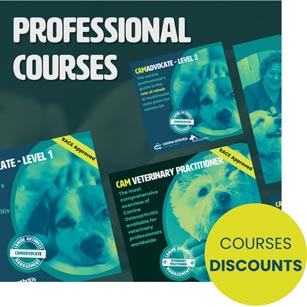 courses pro