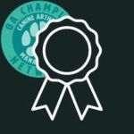 4ASS-Awards