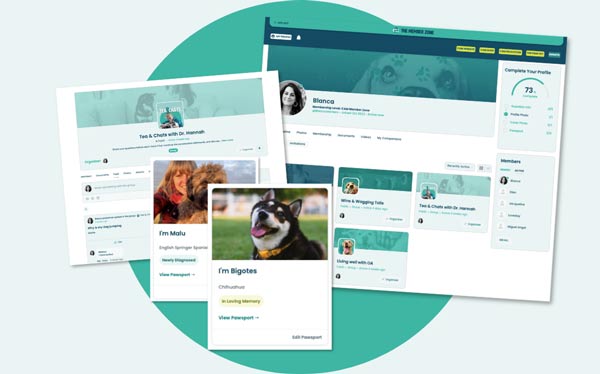 Community-preview