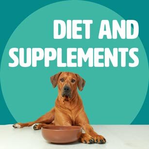 DIET