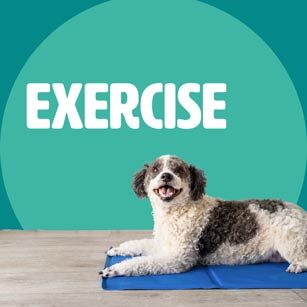 EXERCISE