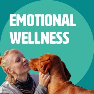 E_WELLNESS