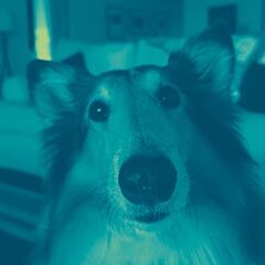 Lifestyle and Home Adaptations