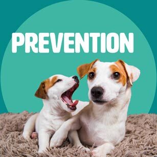 PREVENTION