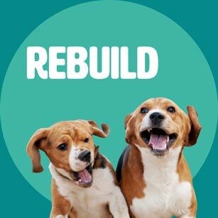 REBUILD
