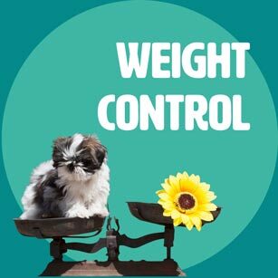 WEIGHT