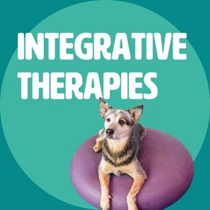 therapies